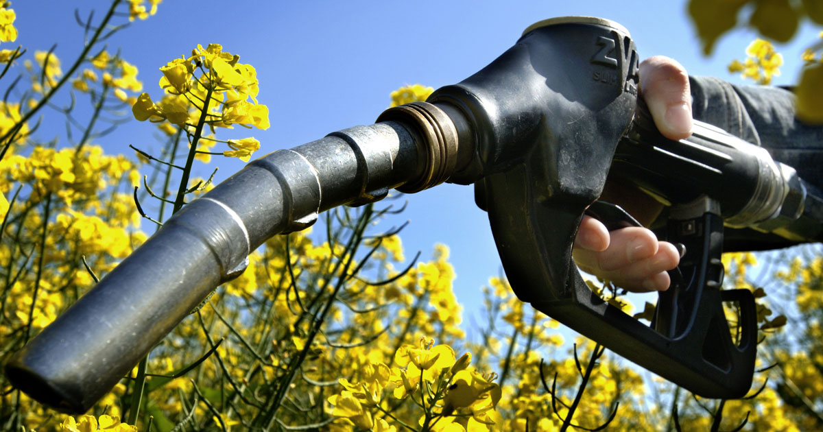 The advantages of Bio Fuel
